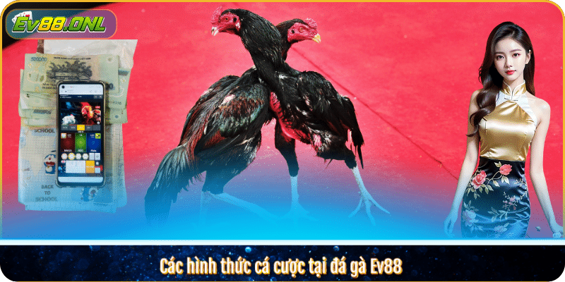 Các hình thức cá cược tại đá gà Ev88 